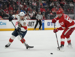 Panthers Red Wings Hockey