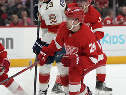 Panthers Red Wings Hockey