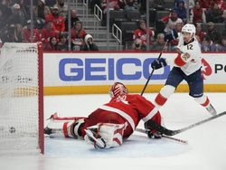 Panthers Red Wings Hockey