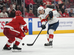 Panthers Red Wings Hockey
