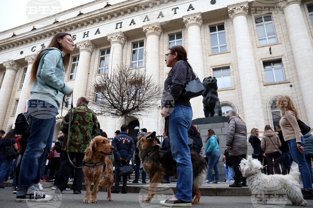 Граждани излязоха в столицата на протест срещу насилието, заедно със свои домашни любимци