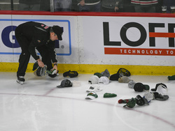 Kraken Wild Hockey