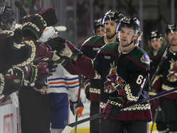 Oilers Coyotes Hockey