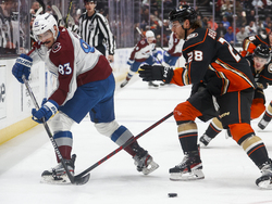 Avalanche Ducks Hockey