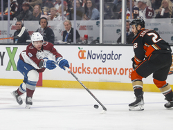 Avalanche Ducks Hockey