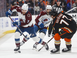 Avalanche Ducks Hockey