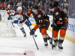 Avalanche Ducks Hockey
