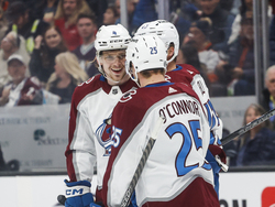 Avalanche Ducks Hockey