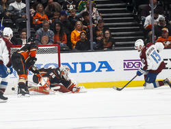 Avalanche Ducks Hockey