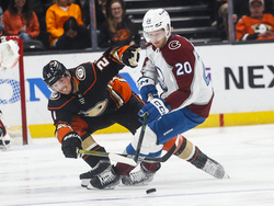 Avalanche Ducks Hockey