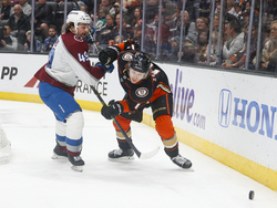 Avalanche Ducks Hockey