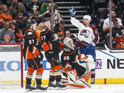 Avalanche Ducks Hockey