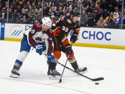 Avalanche Ducks Hockey