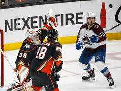 Avalanche Ducks Hockey