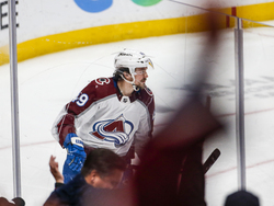 Avalanche Ducks Hockey