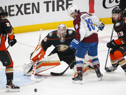 Avalanche Ducks Hockey