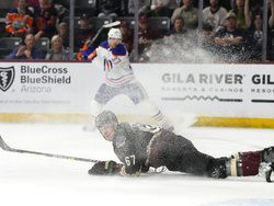 Oilers Coyotes Hockey