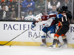 Avalanche Ducks Hockey