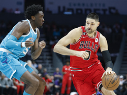Bulls Hornets Basketball