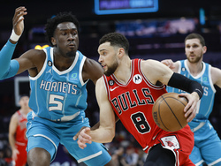 Bulls Hornets Basketball