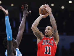 Bulls Hornets Basketball