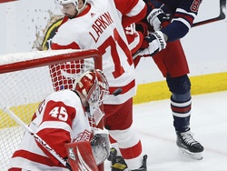 Red Wings Jets Hockey