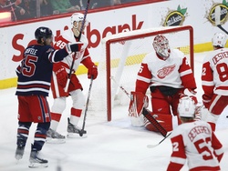 Red Wings Jets Hockey