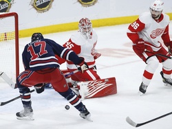 Red Wings Jets Hockey