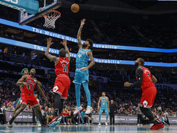 Bulls Hornets Basketball