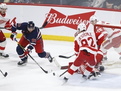Red Wings Jets Hockey
