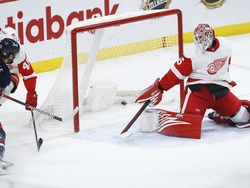 Red Wings Jets Hockey