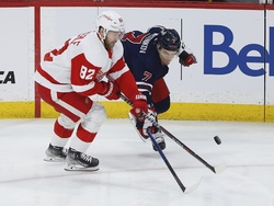 Red Wings Jets Hockey