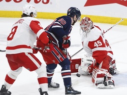 Red Wings Jets Hockey