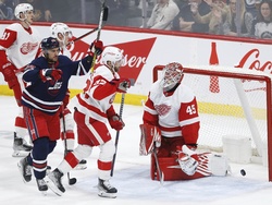 Red Wings Jets Hockey
