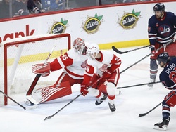 Red Wings Jets Hockey