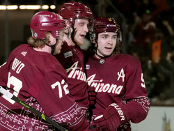 Stars Coyotes Hockey