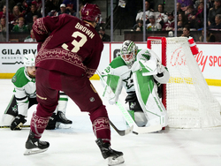 Stars Coyotes Hockey