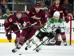 Stars Coyotes Hockey