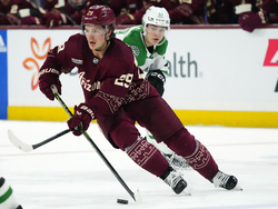 Stars Coyotes Hockey