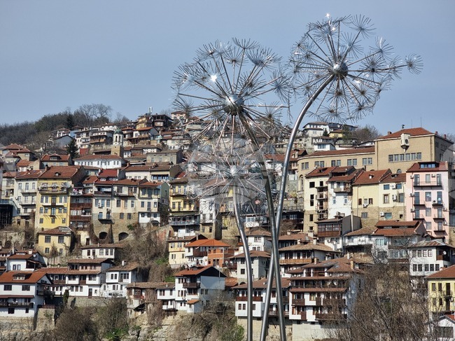 В Бюрото по труда във Велико Търново са обявени 24 свободни работни места за висококвалифицирани специалисти