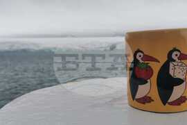 Antarctica through the Eyes of the RSV 421 Crew