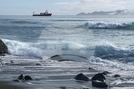 Antarctica through the Eyes of the RSV 421 Crew