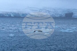 Antarctica through the Eyes of the RSV 421 Crew