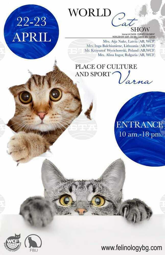 Varna to Host Bulgaria's First World Cat Show