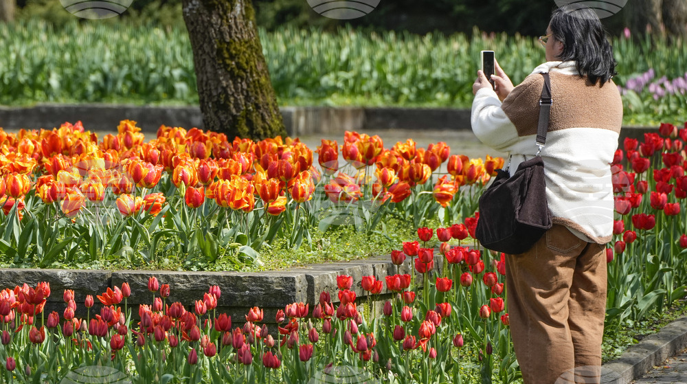 Повечето жени в Германия не се чувстват в безопасност на обществени места, показва проучване