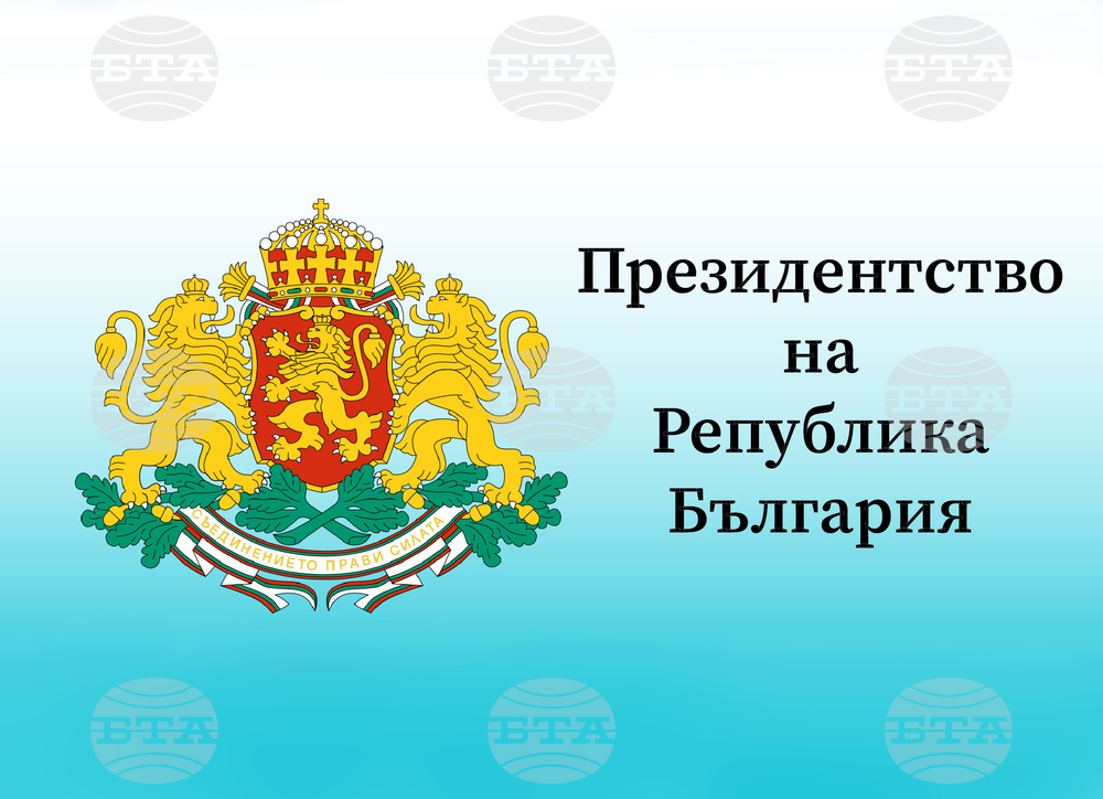 Проблемите пред ЕС в енергетиката, икономиката и нелегалната миграция обсъди президентът Румен Радев в разговор с председателя на Европейския съвет Шарл Мишел