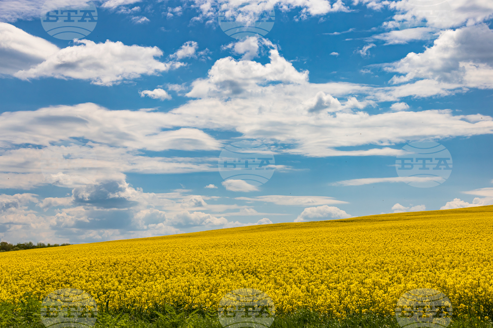 Прогноза за времето