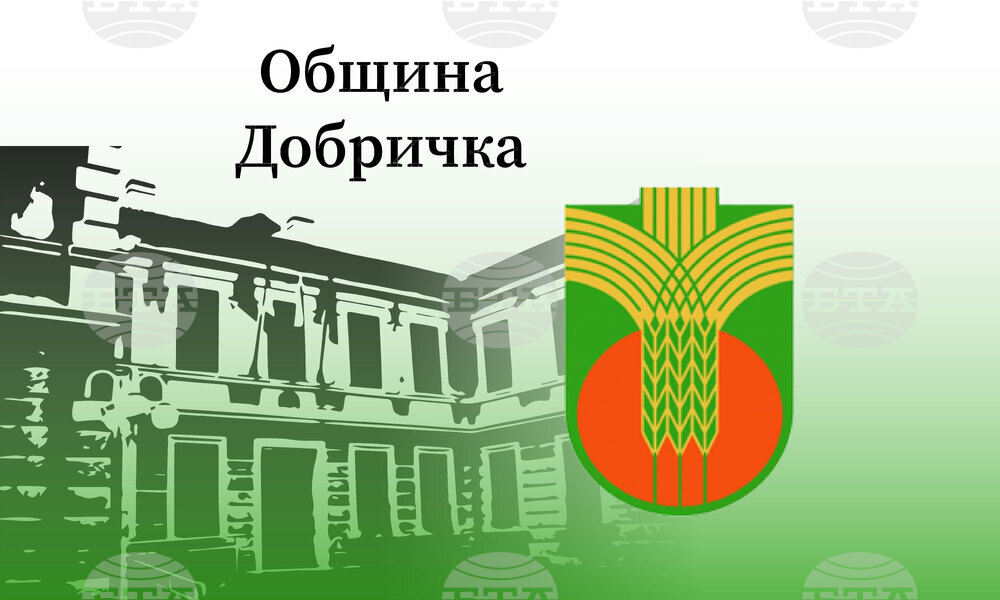 Община Добричка: Коледните светлини на елхата в Стефаново грейват на 7 декември