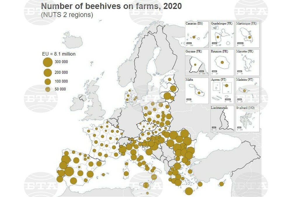 Bulgaria With 5th Most Beehives on Farms in EU in 2020 - Eurostat
