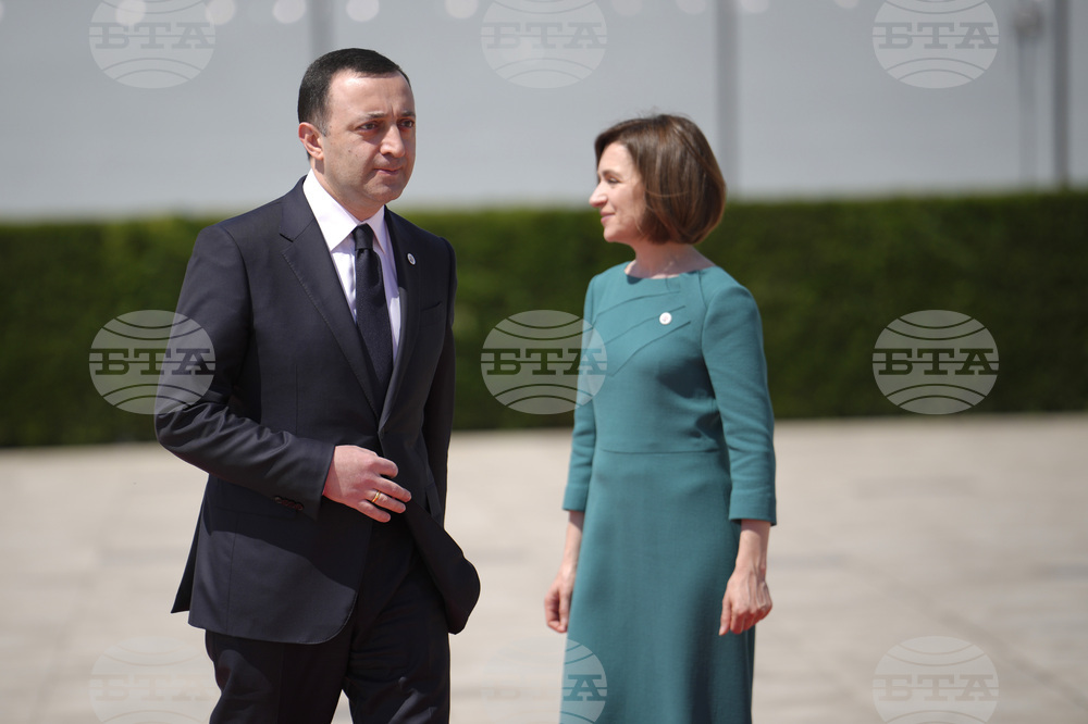Германският канцлер настоява за бързи реформи в Грузия за присъединяването й към ЕС